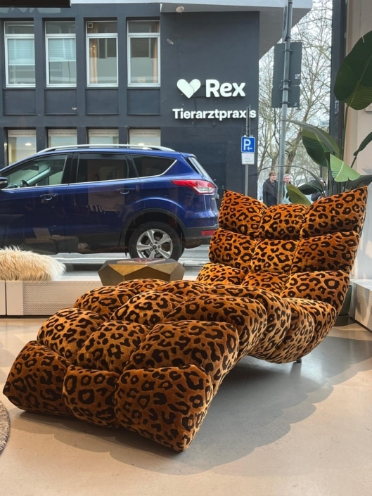 WhatsApp Image 2026-02-13 at 13.14.27 (2)