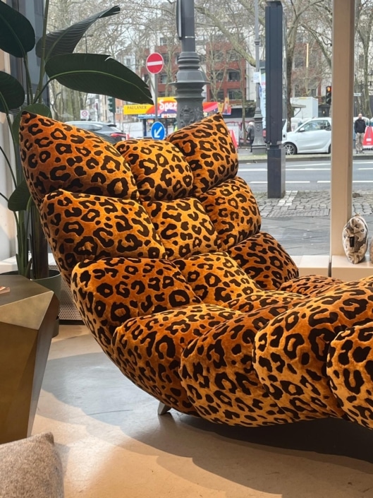 WhatsApp Image 2026-02-13 at 13.14.27 (3)