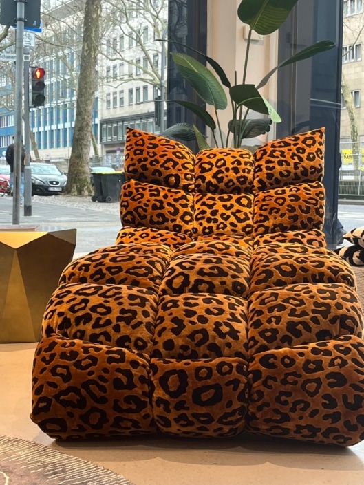 WhatsApp Image 2026-02-13 at 13.14.28 (1)