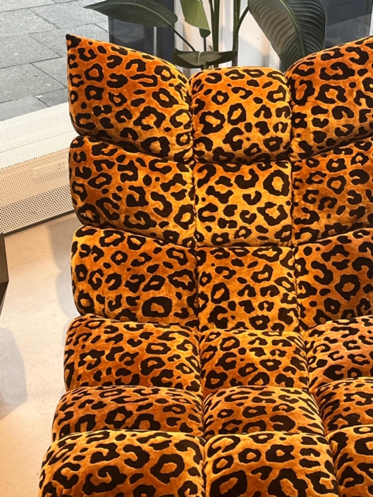 WhatsApp Image 2026-02-13 at 13.14.28