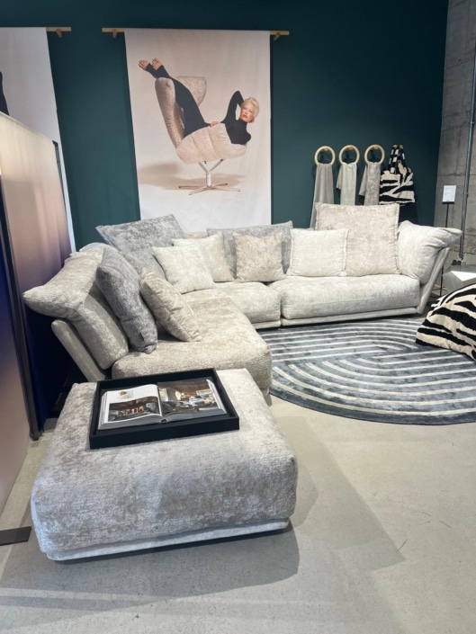 WhatsApp Image 2026-02-13 at 13.14.47