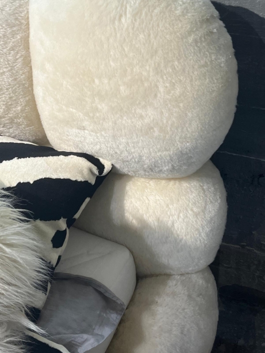 WhatsApp Image 2026-02-13 at 13.14.58