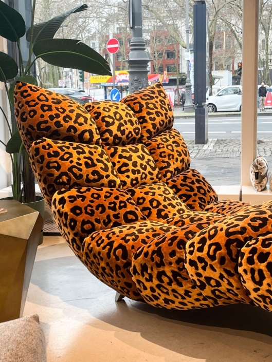 WhatsApp Image 2026-02-25 at 14.24.17 (1)