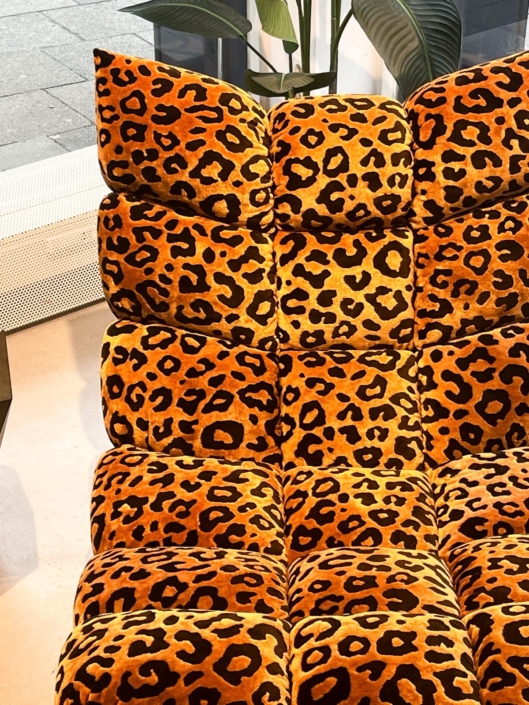 WhatsApp Image 2026-02-25 at 14.24.17 (2)