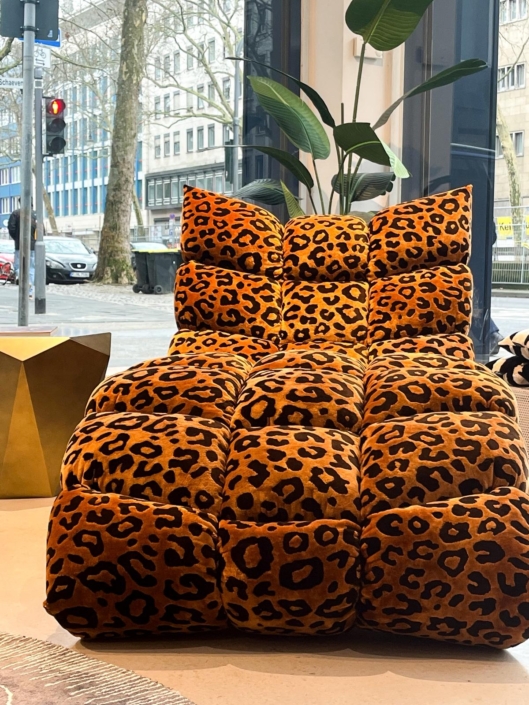 WhatsApp Image 2026-02-25 at 14.24.18